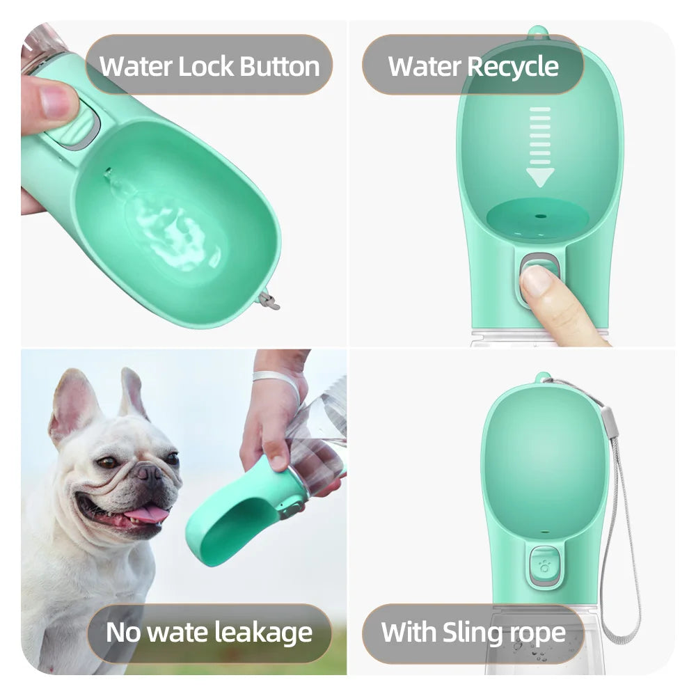 Bouteille d'eau pour chien pour animaux de compagnie