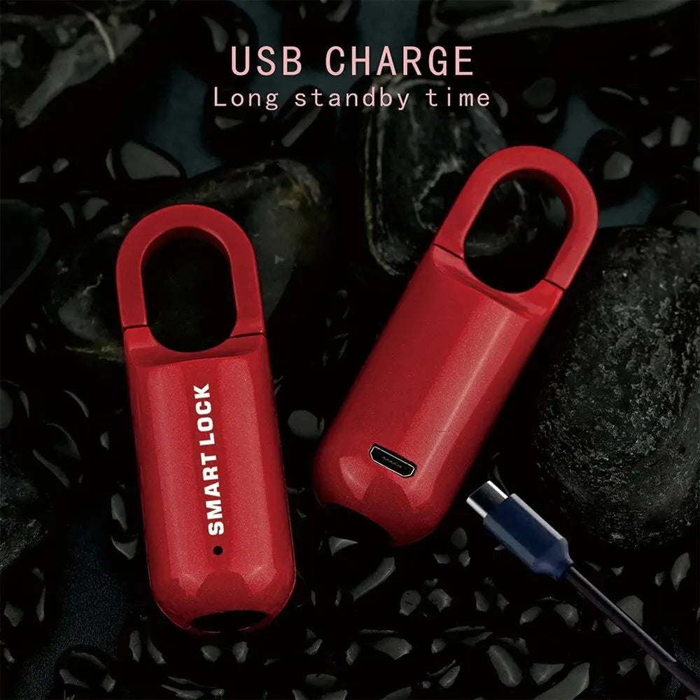 Mini cadenas à empreintes digitales, serrure à bagages sans clé USB, serrure électronique