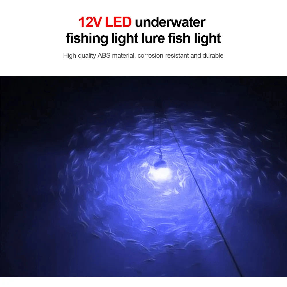 Lampe de pêche à LED 12 V 100 W