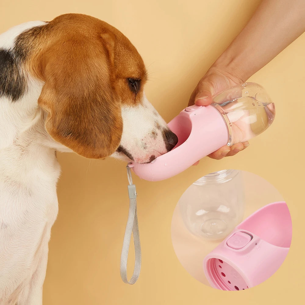 Bouteille d'eau pour chien pour animaux de compagnie