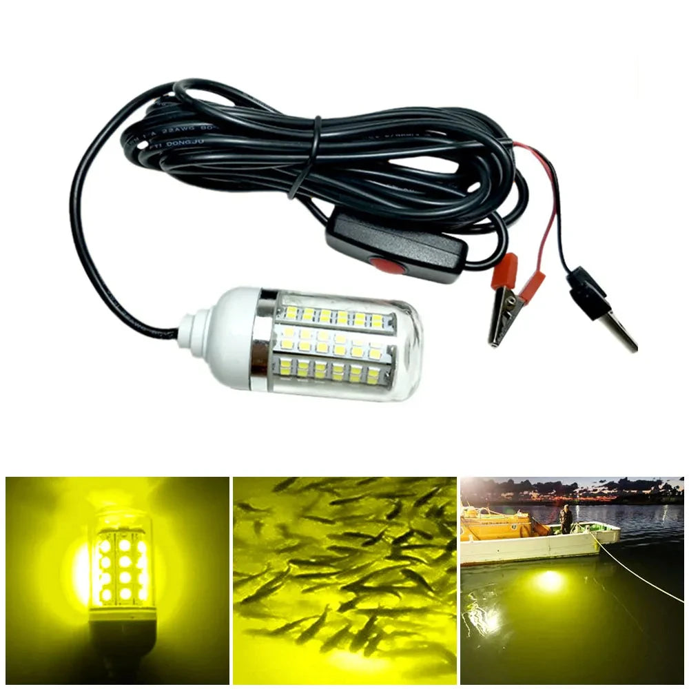 Lampe de pêche à LED 12 V 100 W